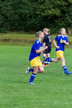 Bild 215 - Frauen TSV Gnutz - SG S�lfeld/Oe/Se/Stu : Ergebnis: 2:3